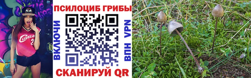 Псилоцибиновые грибы прущие грибы  Бавлы 